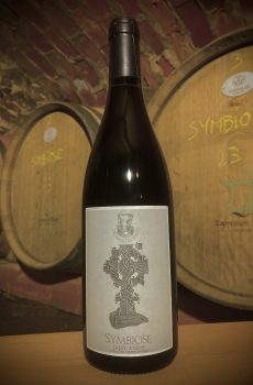 Menina - Vieilles vignes 50 ans sélection massale Syrah